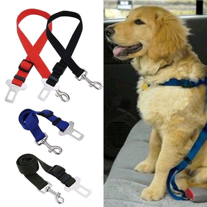 자동차 안전 벨트 애완견 가죽 끈, 조절 가능한 리드  - Travel Accessories Dropshipping 리뷰 및 가격